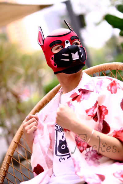 檔案:Pic 4066279690099161381 1.png